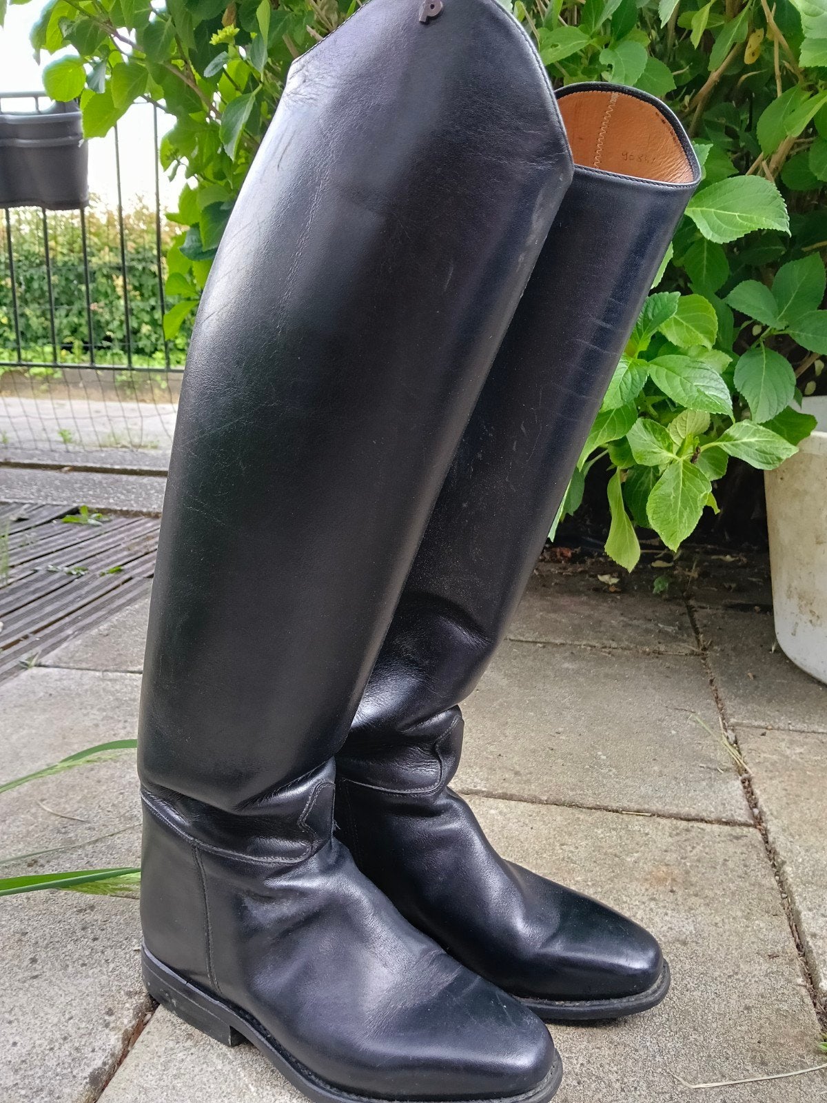 Petrie rijlaarzen, Ophalen of Verzenden, Dressuur, Schoeisel