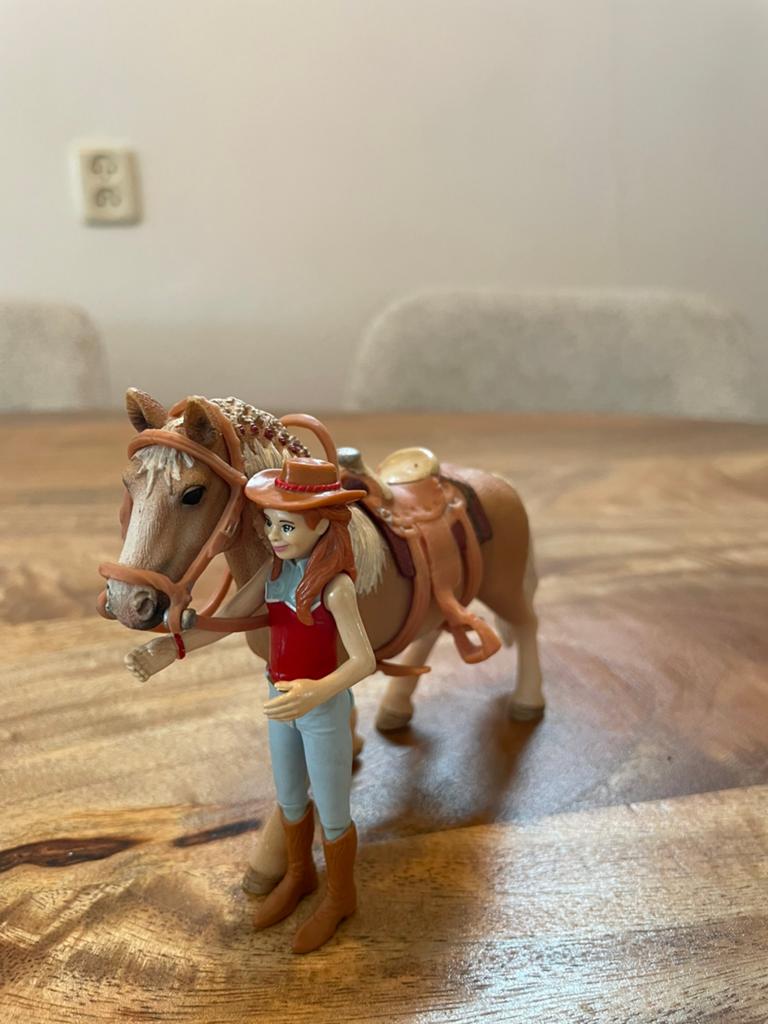 Schleich diverse sets, Ophalen of Verzenden, Jongen of Meisje