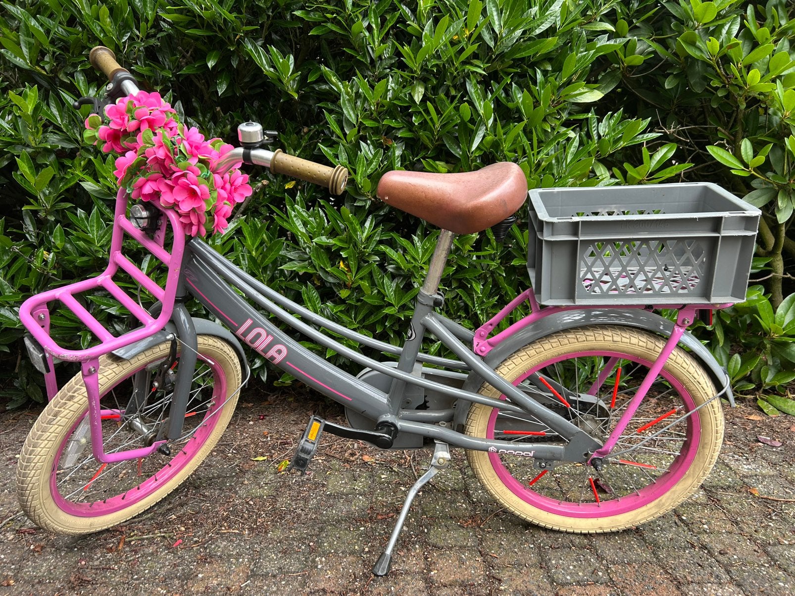 Superleuke meisjesfiets 18 inch, Ophalen, Gebruikt, 16 tot 20 inch