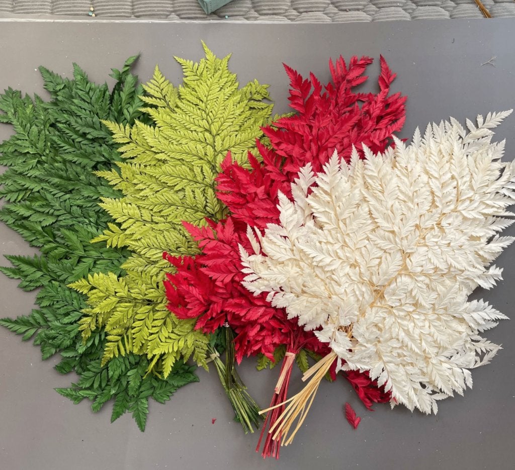 10x Gedroogde Varen Bladeren Planten Takken Roze Groene, Verzenden, Nieuw, Kunstplant