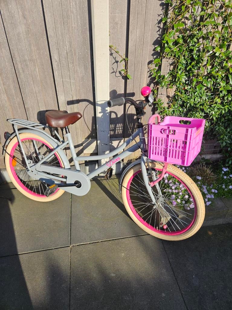 Meidenfiets 22 inch - Gebruikt, nette staat, Ophalen, Terugtraprem, 22 inch, Gebruikt