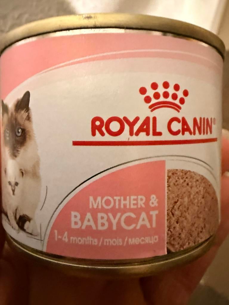 Royal canin mother babycat 2,50 per blikje, Dieren en Toebehoren, Ophalen, Kat
