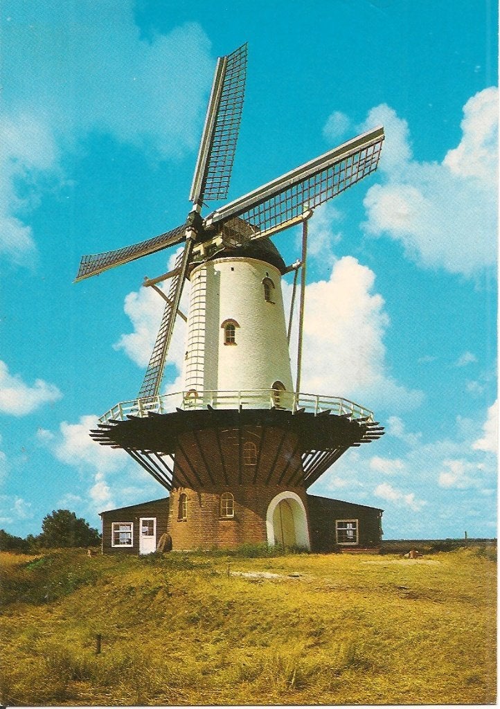 Ansichtkaart Veere Molen "De Koe" Korenmolen  Anno 1909, Ophalen of Verzenden, 1960 tot 1980, Ongelopen, Zeeland