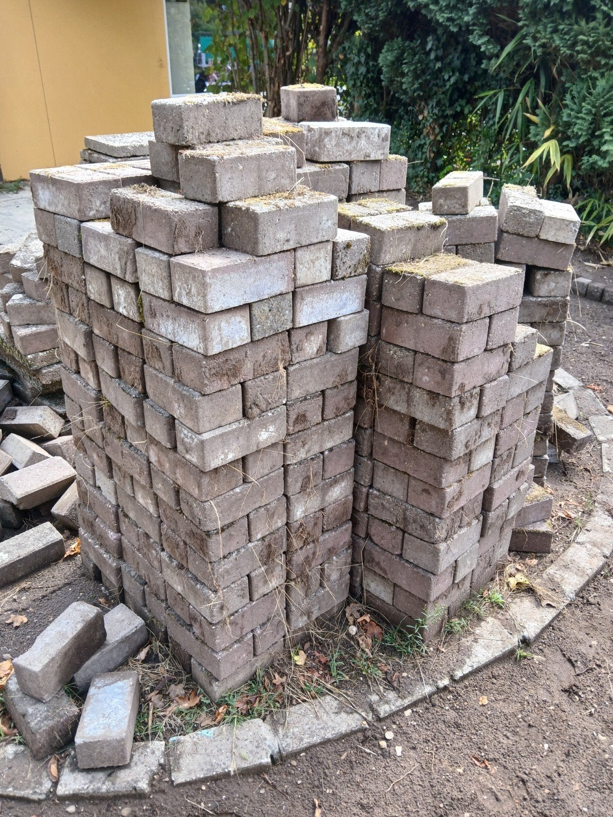 gratis af te halen verschillende tegels, Ophalen, Gebruikt, 10 m² of meer, Beton