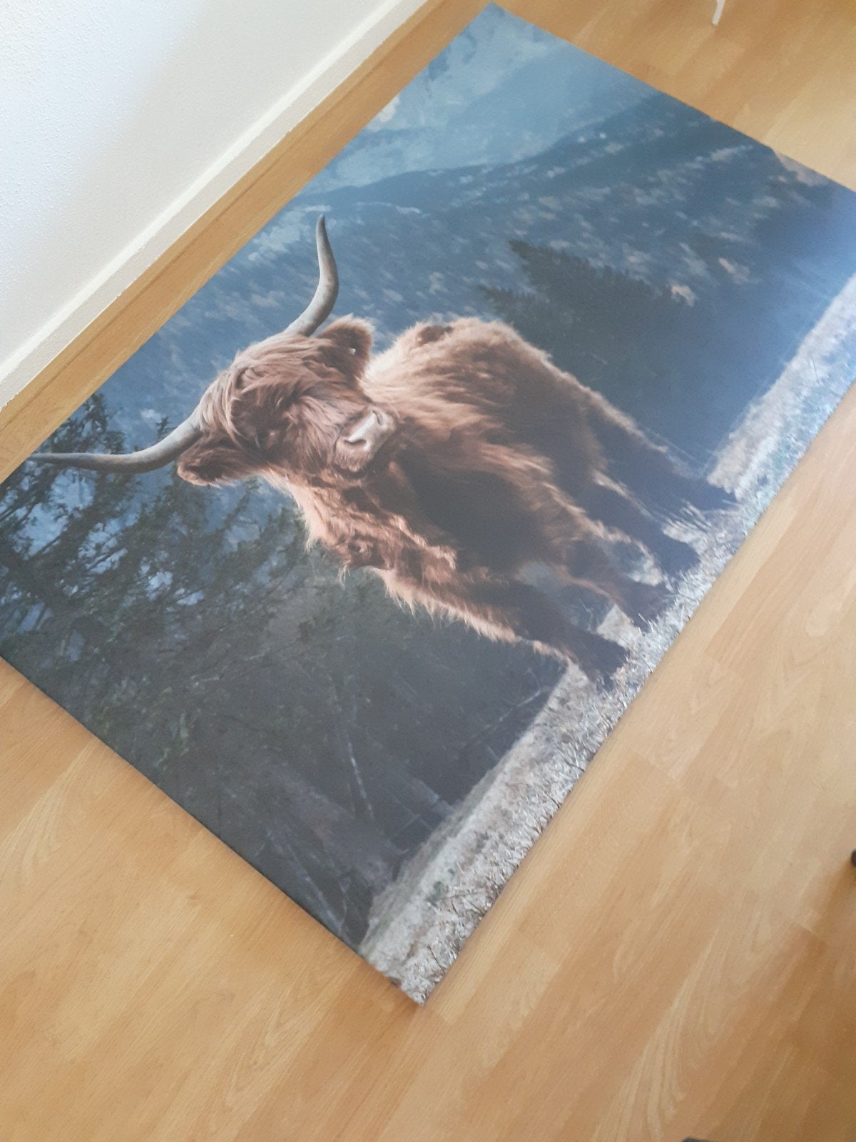 Canvasdoek, Ophalen, 125 cm of meer, Zo goed als nieuw, Schilderij