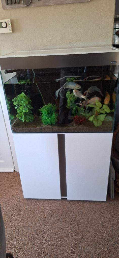 Complete Ciano Aquarium met onderkast zonder vissen, Dieren en Toebehoren, Vissen | Aquaria en Toebehoren, Ophalen, Inclusief slangen