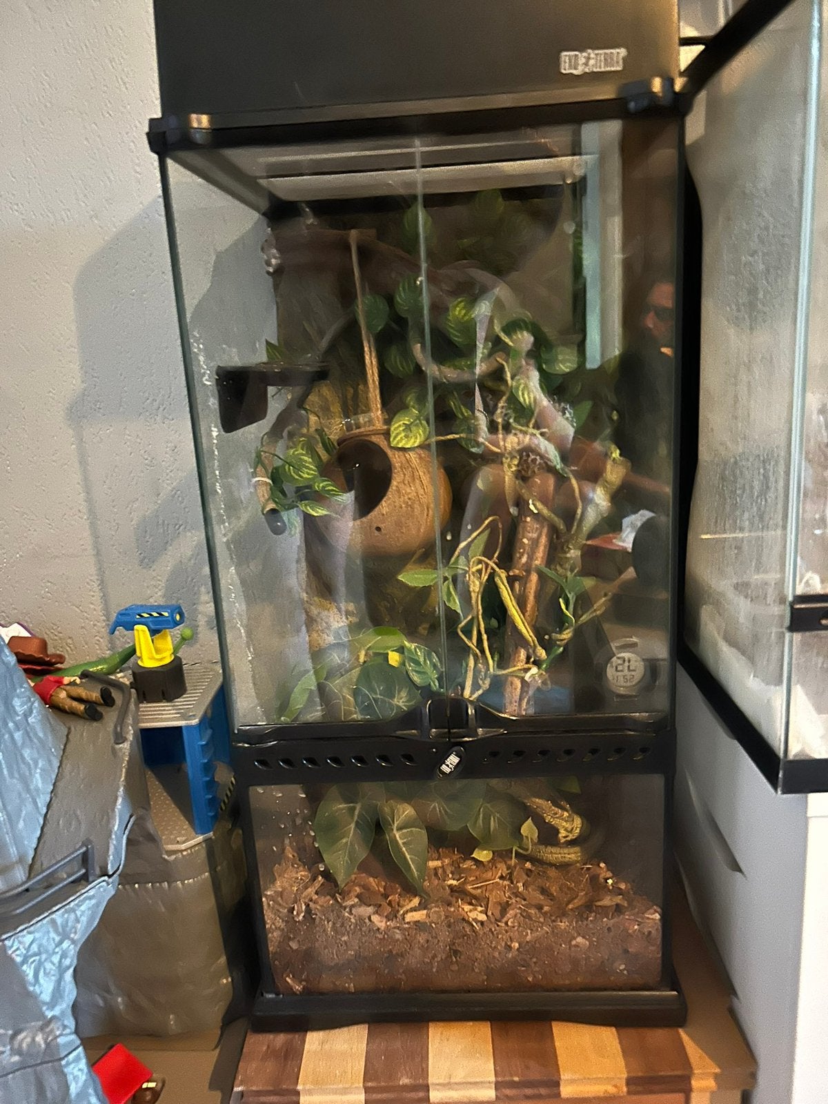 Terrarium exo terra, Ophalen, Zo goed als nieuw