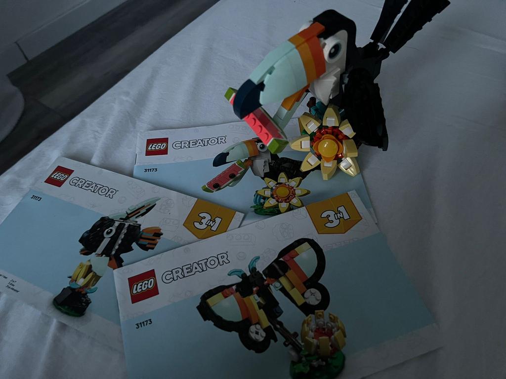 LEGO Creator 31173 Exotische Toekan 3-in-1 set, Kinderen en Baby's, Speelgoed | Duplo en Lego, Ophalen, Lego, Zo goed als nieuw