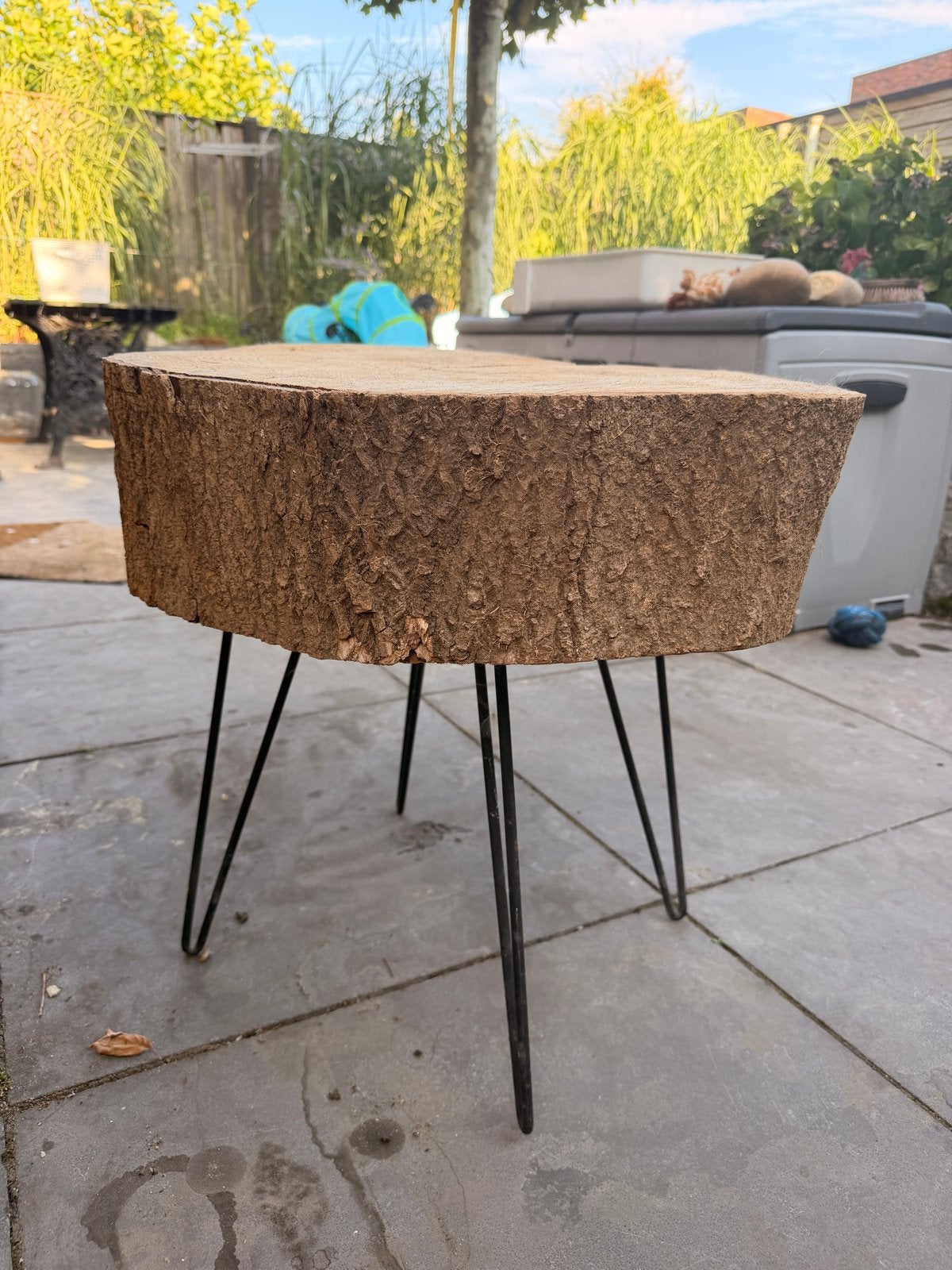 Boomstam bijzettafel 60x50x15cm, hoogte 51cm, Huis en Inrichting, Tafels | Bijzettafels, Gebruikt, 55 tot 75 cm, Overige vormen