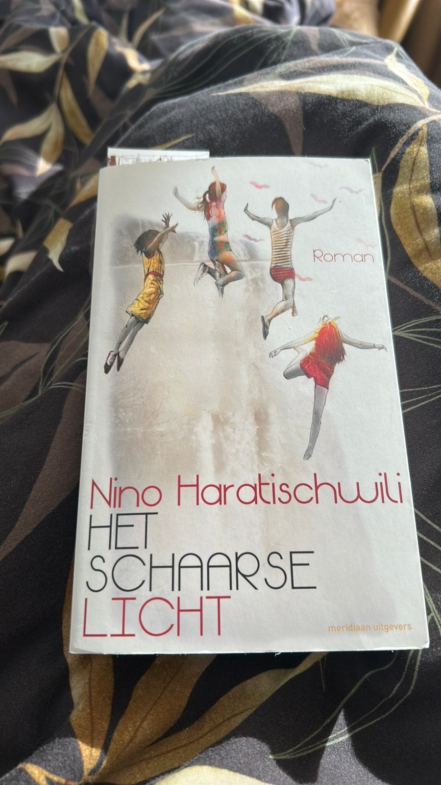 Nino Haratischwili - Het schaarse licht, Ophalen of Verzenden, Zo goed als nieuw, Nino Haratischwili