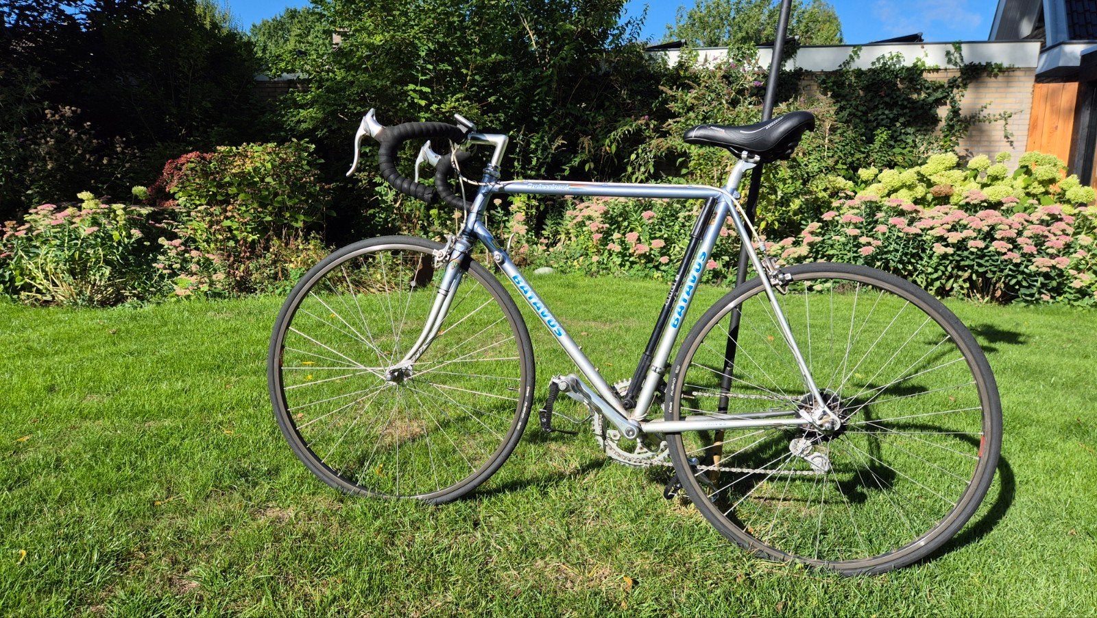 Fraaie Batavus Professional Racefiets, Ophalen, 28 inch, Gebruikt, Batavus
