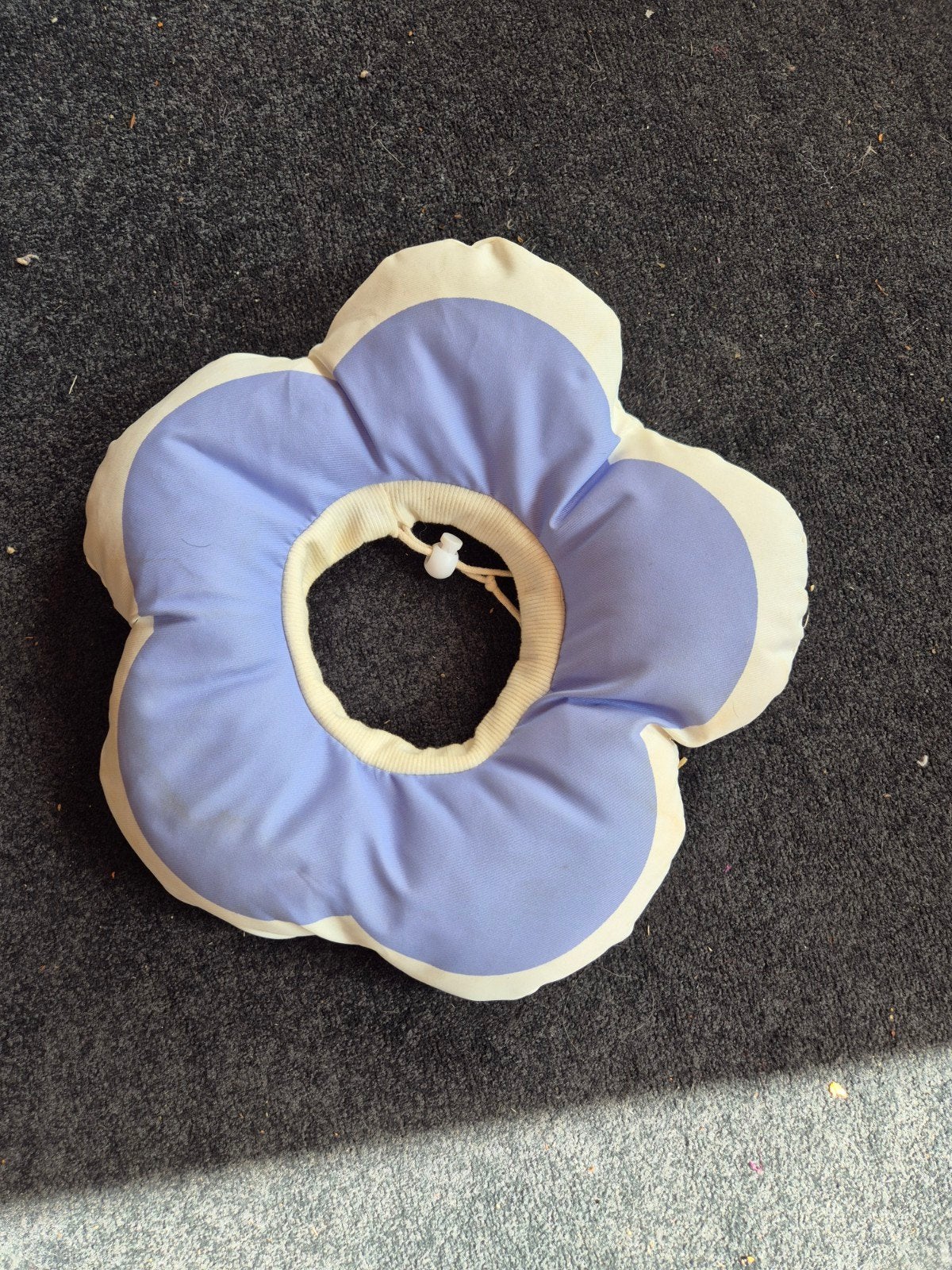 Bloem Beschermkraag Hondenkap Kat Kraag Hond Hondenkraag, Dieren en Toebehoren, Honden-accessoires, Ophalen of Verzenden