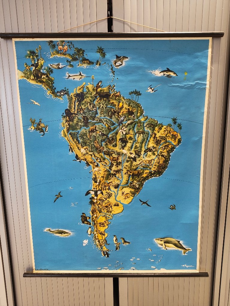 Vintage schoolplaat dierenwereld Zuid-Amerika – Westermann, Antiek en Kunst, Antiek | Schoolplaten, Ophalen of Verzenden, Aardrijkskunde