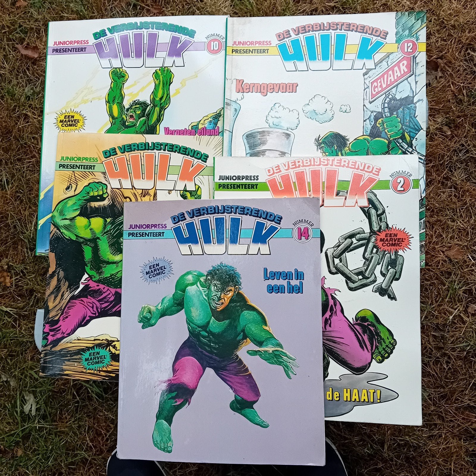 De Verbazingwekkende Hulk Juniorpress stripboeken, Boeken, Ophalen of Verzenden