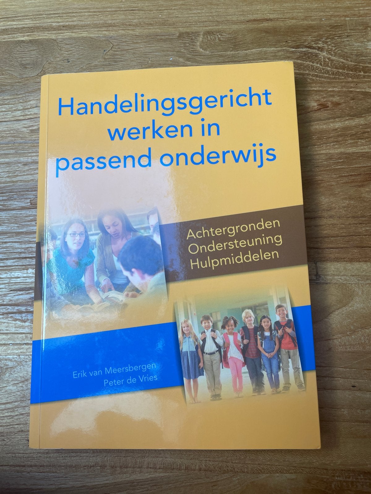 Handelingsgericht werken in passend onderwijs, Ophalen of Verzenden, Gamma, Zo goed als nieuw, HBO