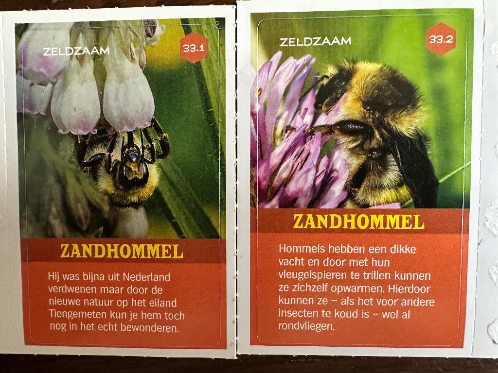 Top insecten van AH verzamelen, compleet € 0,50, Albert Heijn, Ophalen of Verzenden