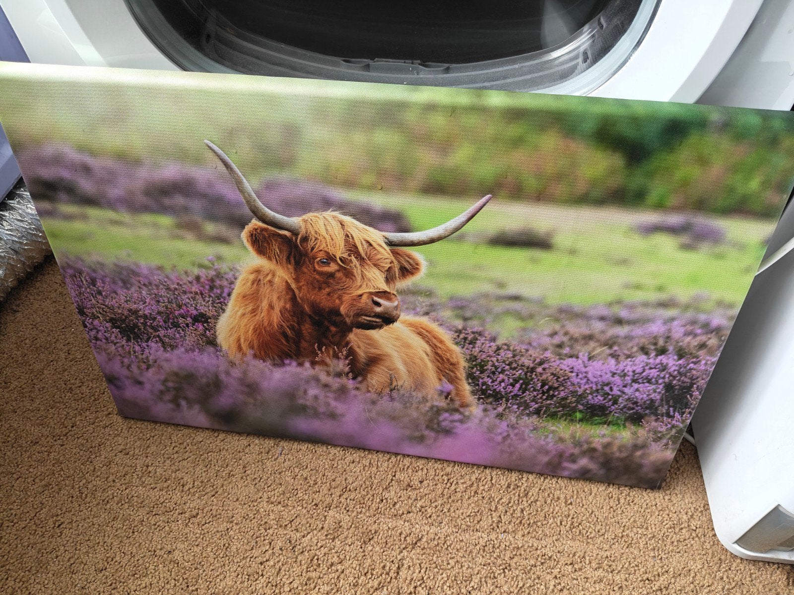 Canvas schilderij nieuw, Huis en Inrichting, Woonaccessoires | Schilderijen, Tekeningen en Foto's, Nieuw, Ophalen of Verzenden