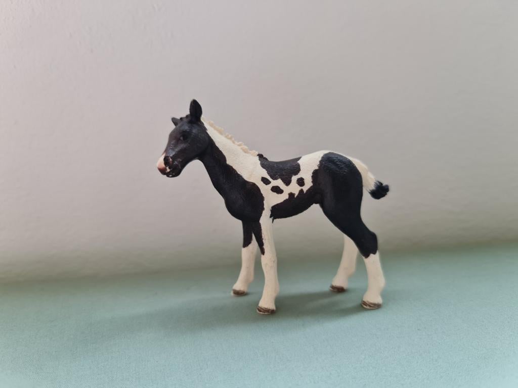 Schleich pinto veulen 13803, Verzamelen, Ophalen of Verzenden, Zo goed als nieuw, Paard, Beeldje of Figuurtje