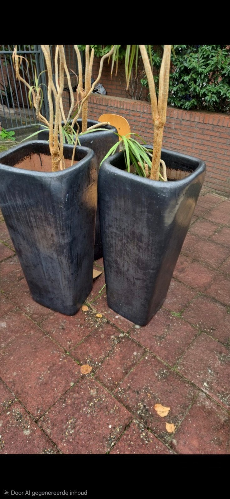 grote planten buitenpotten, Ophalen, Rond, Steen, Minder dan 30 cm