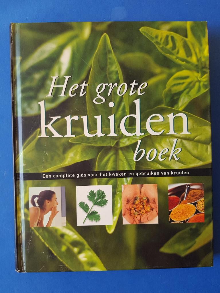 Het grote kruidenboek - Jennie Harding, Verzenden, Zo goed als nieuw, Kruiden en Alternatief