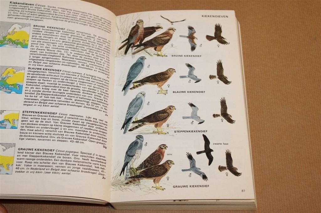 Elseviers Gids Europese Vogels — Vintage, 1975, Ophalen of Verzenden, Gelezen, Vogels