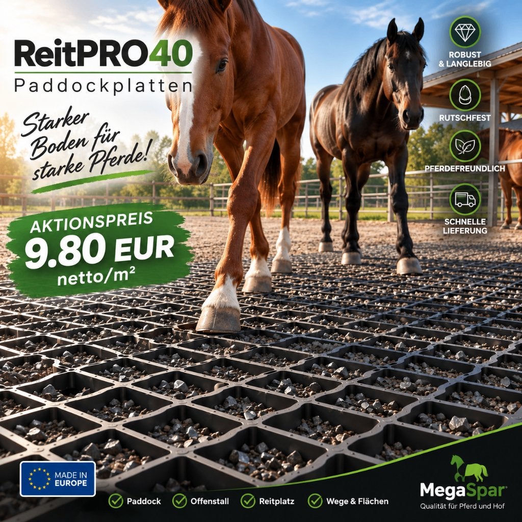 Grasroosters kopen | Paddockplaten voor terreinverharding, Opfok