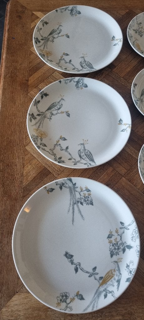 Villeroy & Boch Vivo porseleinen borden vogelprint 15 e.st, Vivo, Nieuw, Ophalen of Verzenden, Bord(en)
