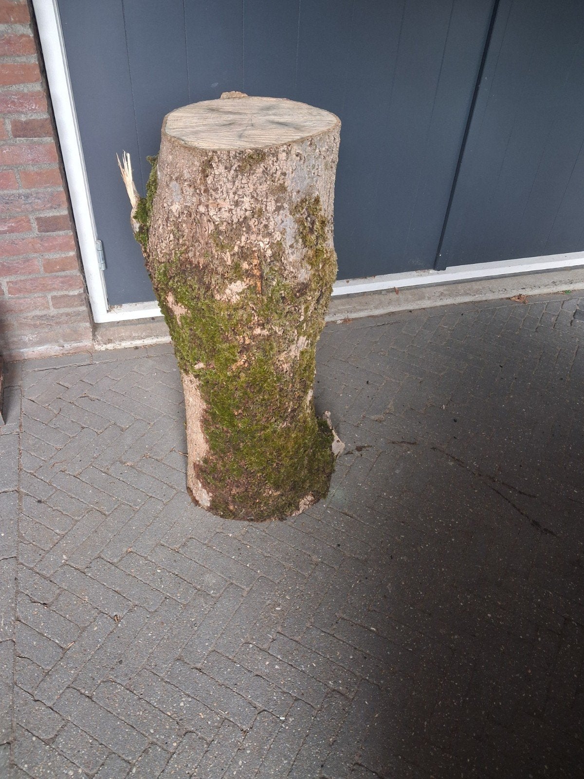 spijker slaan . boomstam.hakblok. nagelen,, Huis en Inrichting, Woonaccessoires | Zuilen en Pilaren, Ophalen