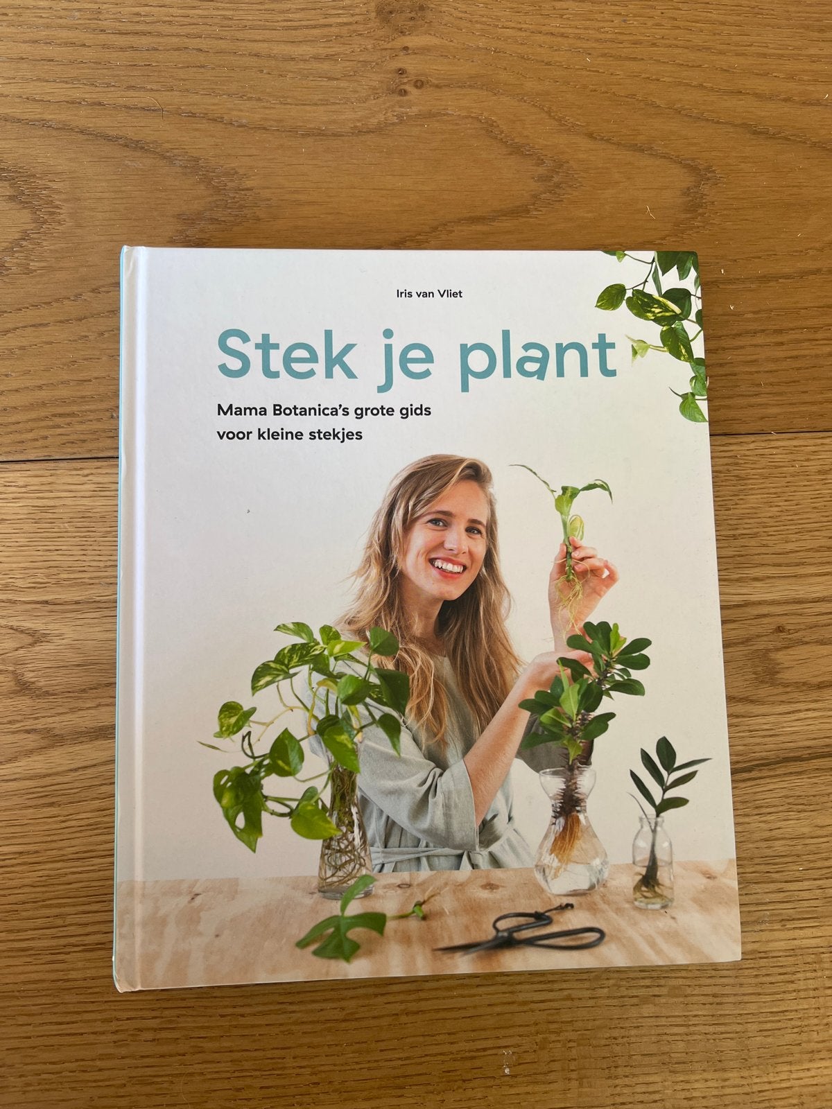 Gesigneerd boek: Stek je plant - Iris van Vliet, Boeken, Ophalen of Verzenden, Zo goed als nieuw, Kamerplanten