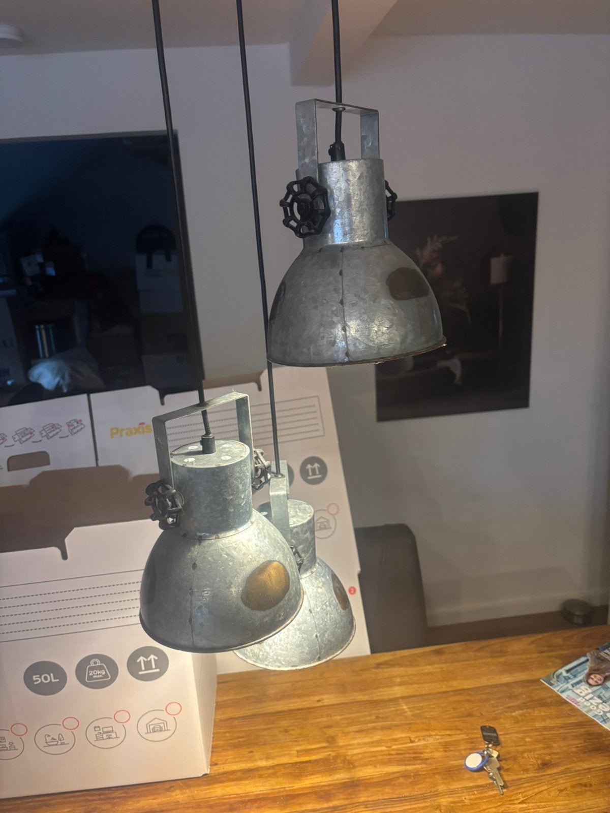 Verstelbare Hanglamp Plafondlamp - Industrieel Design, Huis en Inrichting, Lampen | Hanglampen, Ophalen, Gebruikt, Metaal, E27 (groot)