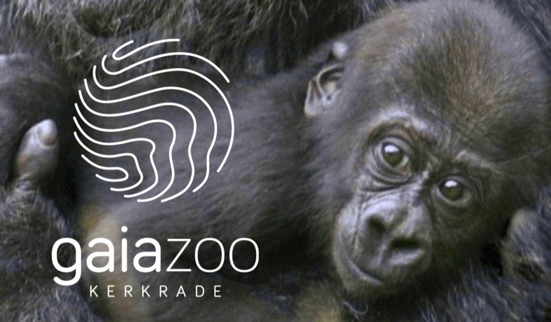 Gaiazoo koop je tickets met Korting op vaste dag., Tickets en Kaartjes, Ticket of Toegangskaart
