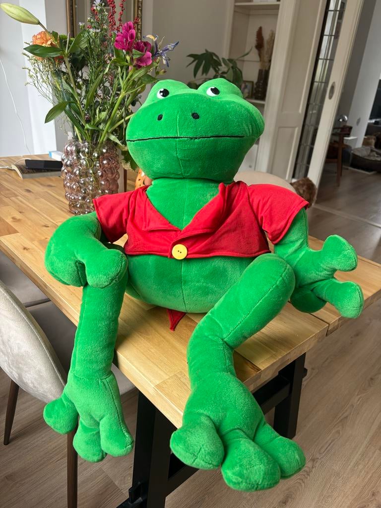 Duinrell Rick de kikker knuffel +/- 75cm, Ophalen, Kikker, Middelgroot (20 tot 80 cm), Met kleding of accessoire