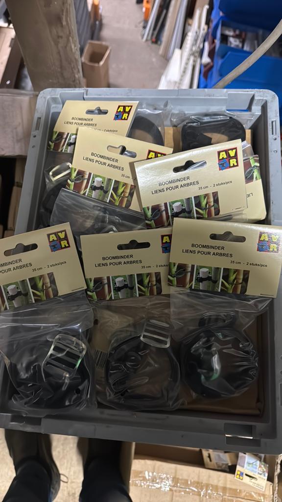 Boombinder rubber 35cm, Tuin en Terras, Planten | Bomen, Volle zon, Bloeit niet, Minder dan 100 cm, Overige soorten