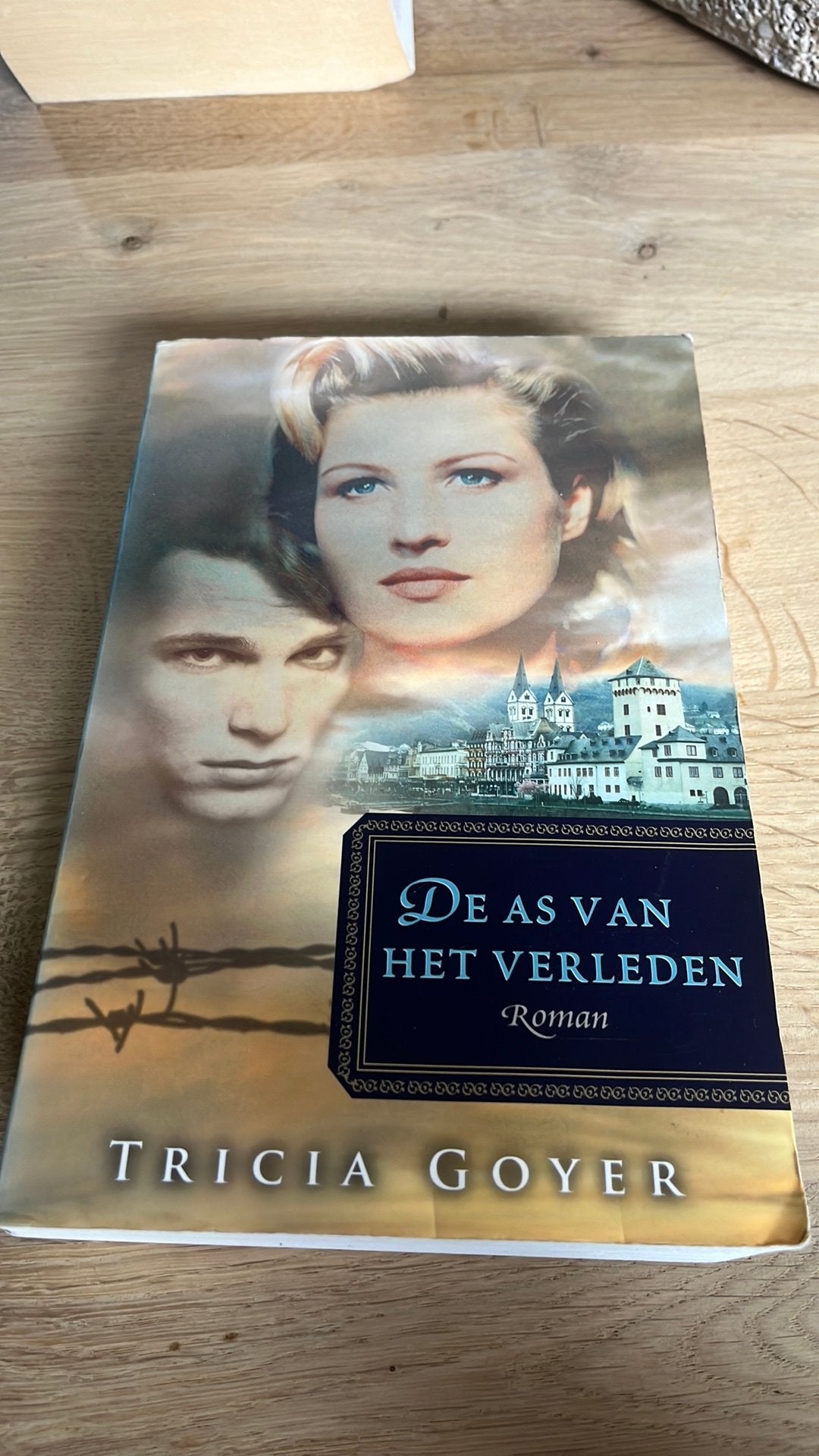 Tricia Goyer - De as van het verleden, Boeken, Ophalen of Verzenden, Gelezen, Tricia Goyer