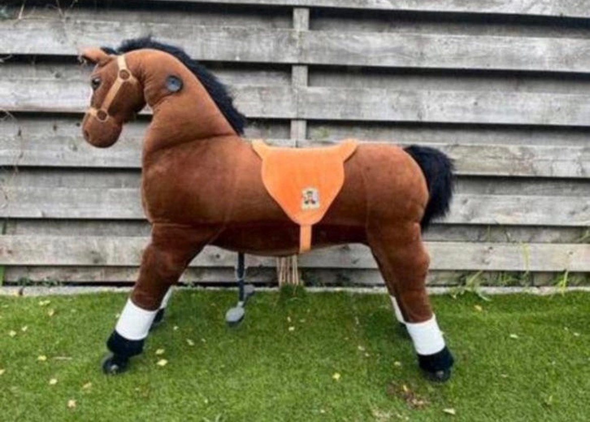 Animalriding xl paard Amadeus, Ophalen