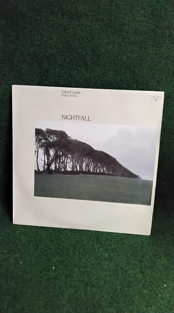DAVID  LANZ, Gebruikt, 1980 tot heden, Ophalen of Verzenden, 12 inch