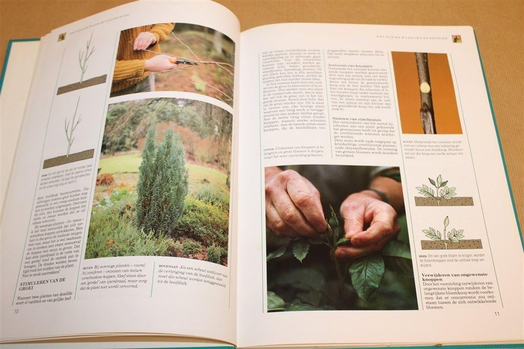 Praktisch Handboek Snoeien — Bomen & Struiken & Meer, Boeken, Ophalen of Verzenden, Gelezen, Bloemen, Planten en Bomen