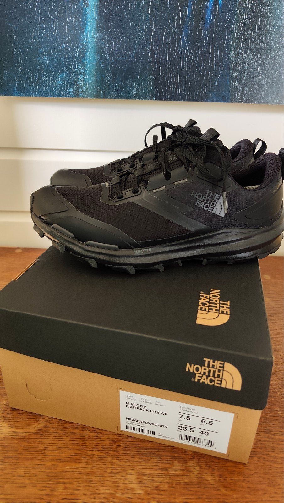 The North Face VECTIV Fastpack Lite WP wandelschoenen, Ophalen of Verzenden, Nieuw