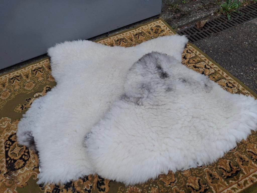Set van 2 schapenvachten: 1 grote en 1 kleine, Gebruikt, 50 tot 100 cm, Natuurlijk, Landelijk, Onbekend