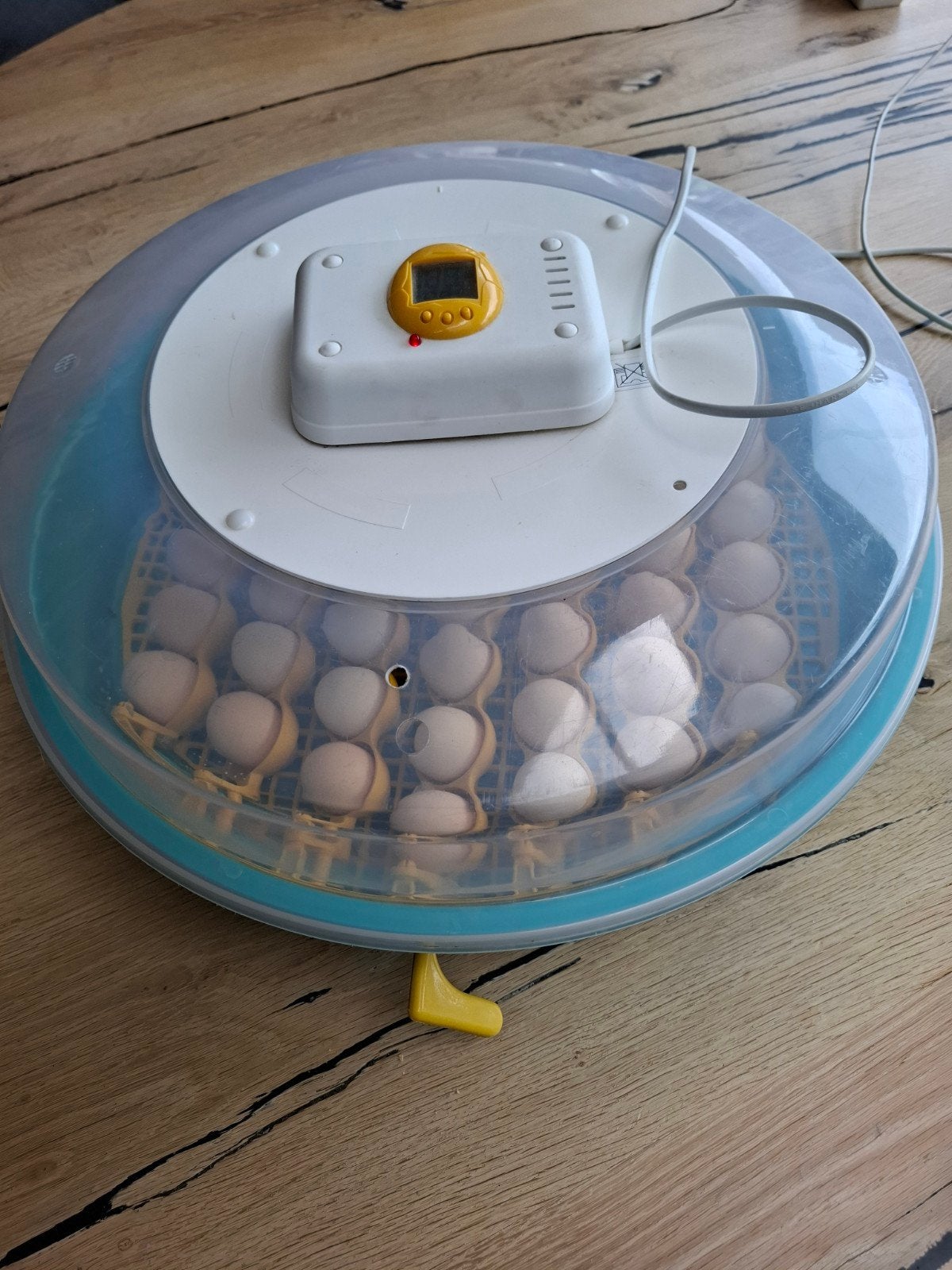 Broedmachine puisor, Ophalen of Verzenden, Zo goed als nieuw, Broedmachine
