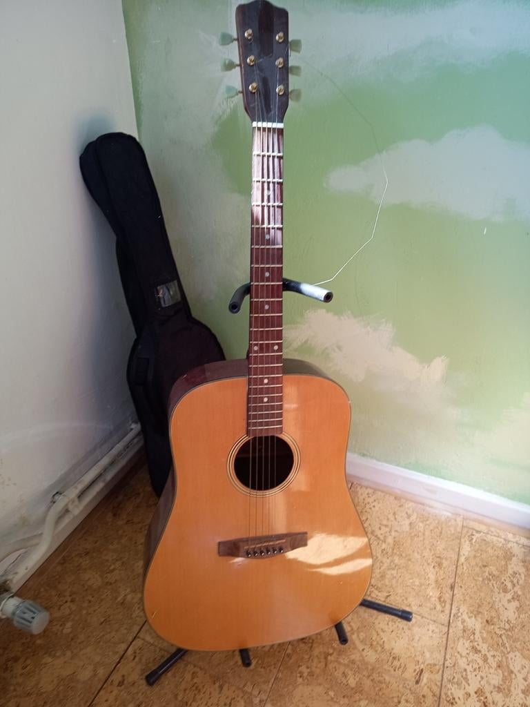 Akoestische gitaar, Ophalen of Verzenden, Klassieke of Spaanse gitaar, Met koffer