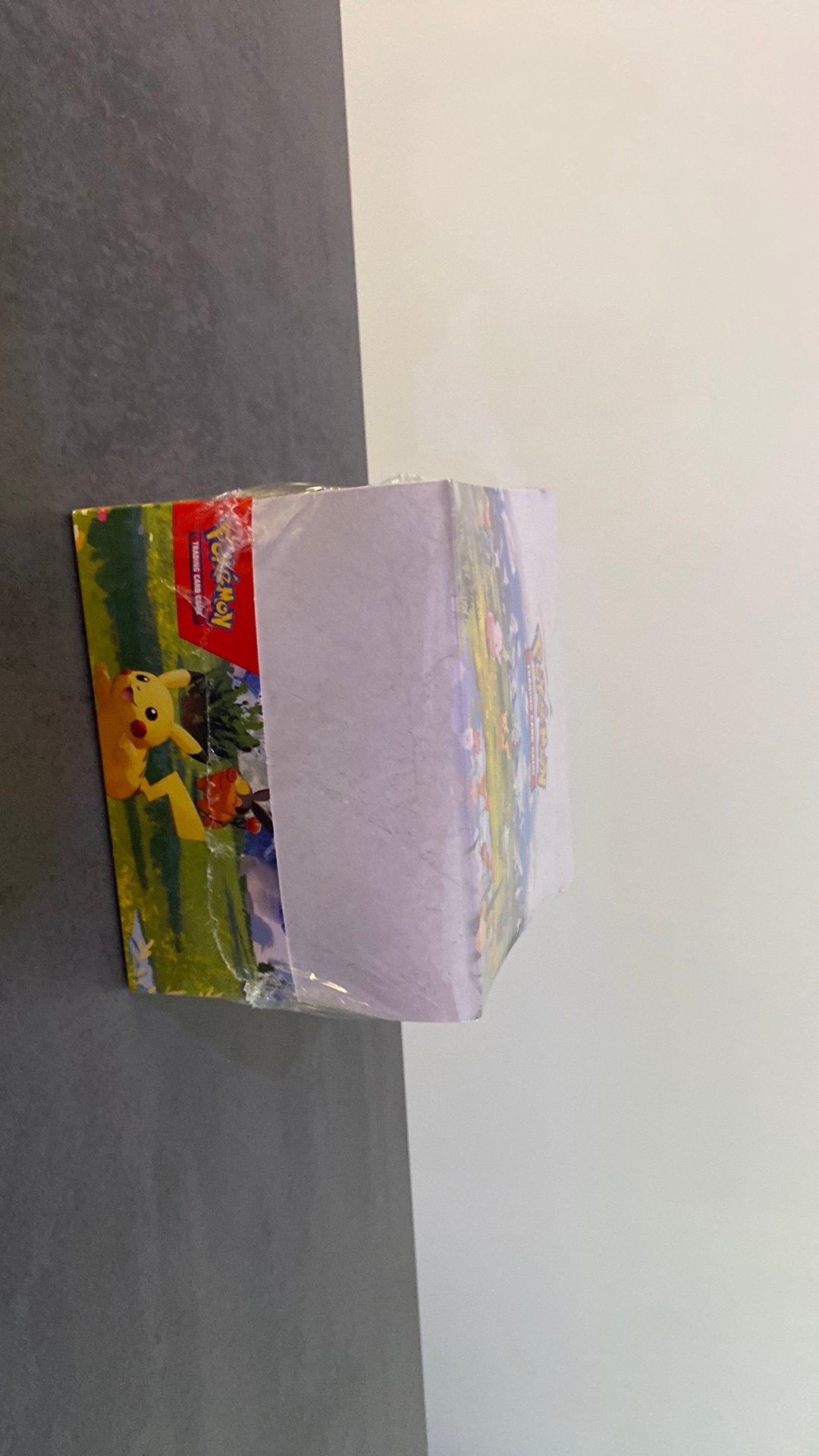 Pokemon Ascended heroes tin display