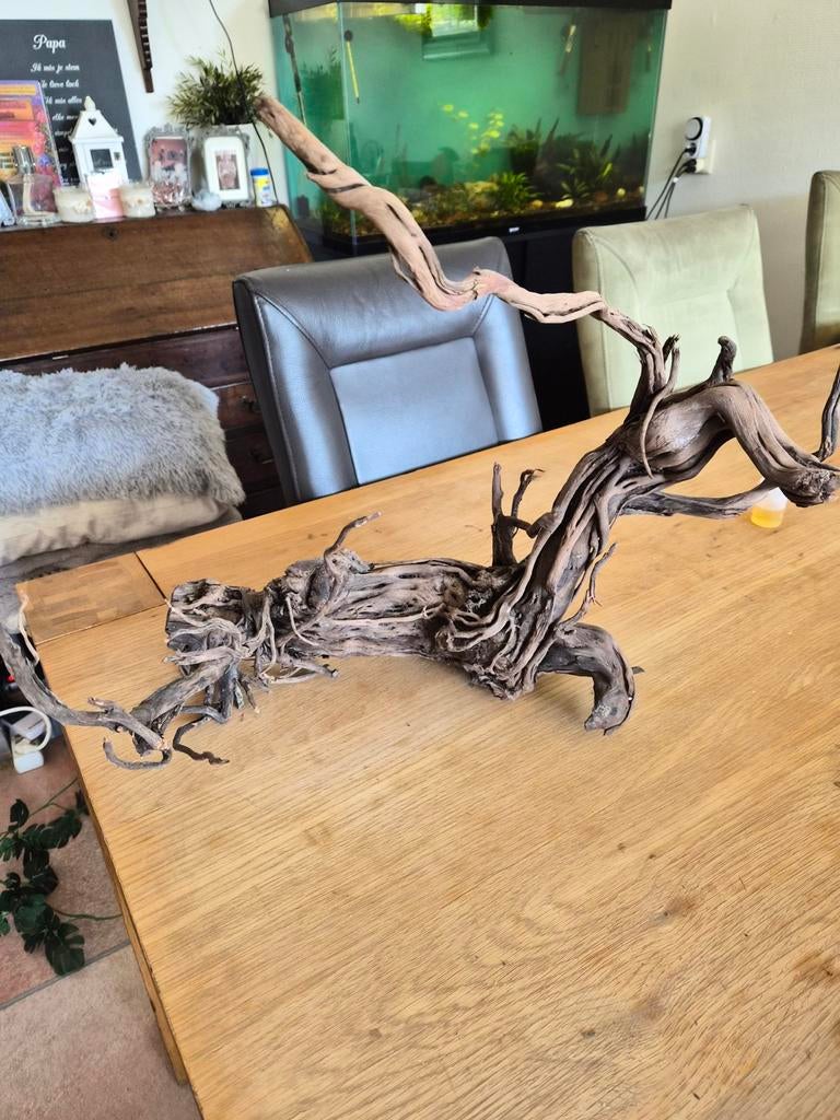 Aquariumhout, Dieren en Toebehoren, Ophalen, Plant(en), Steen of Hout