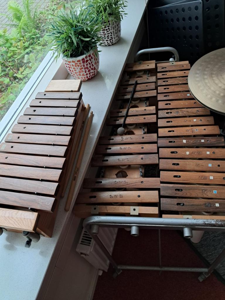 Sonor Xylofoon en Klein Xylofoon - Gebruikt, Muziek en Instrumenten, Drumstellen en Slagwerk, Ophalen, Gebruikt, Sonor