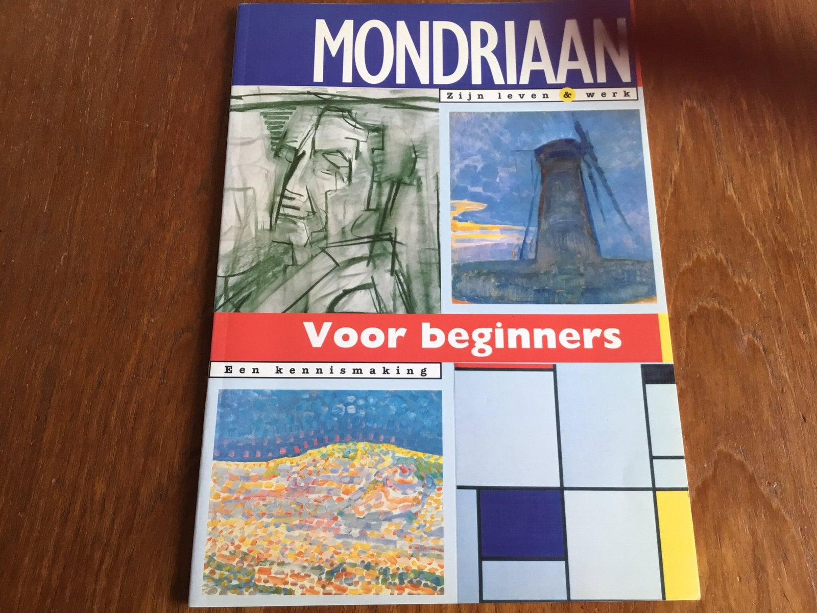 Mondriaan zijn leven en werk, Ophalen of Verzenden, Zo goed als nieuw, Architecten