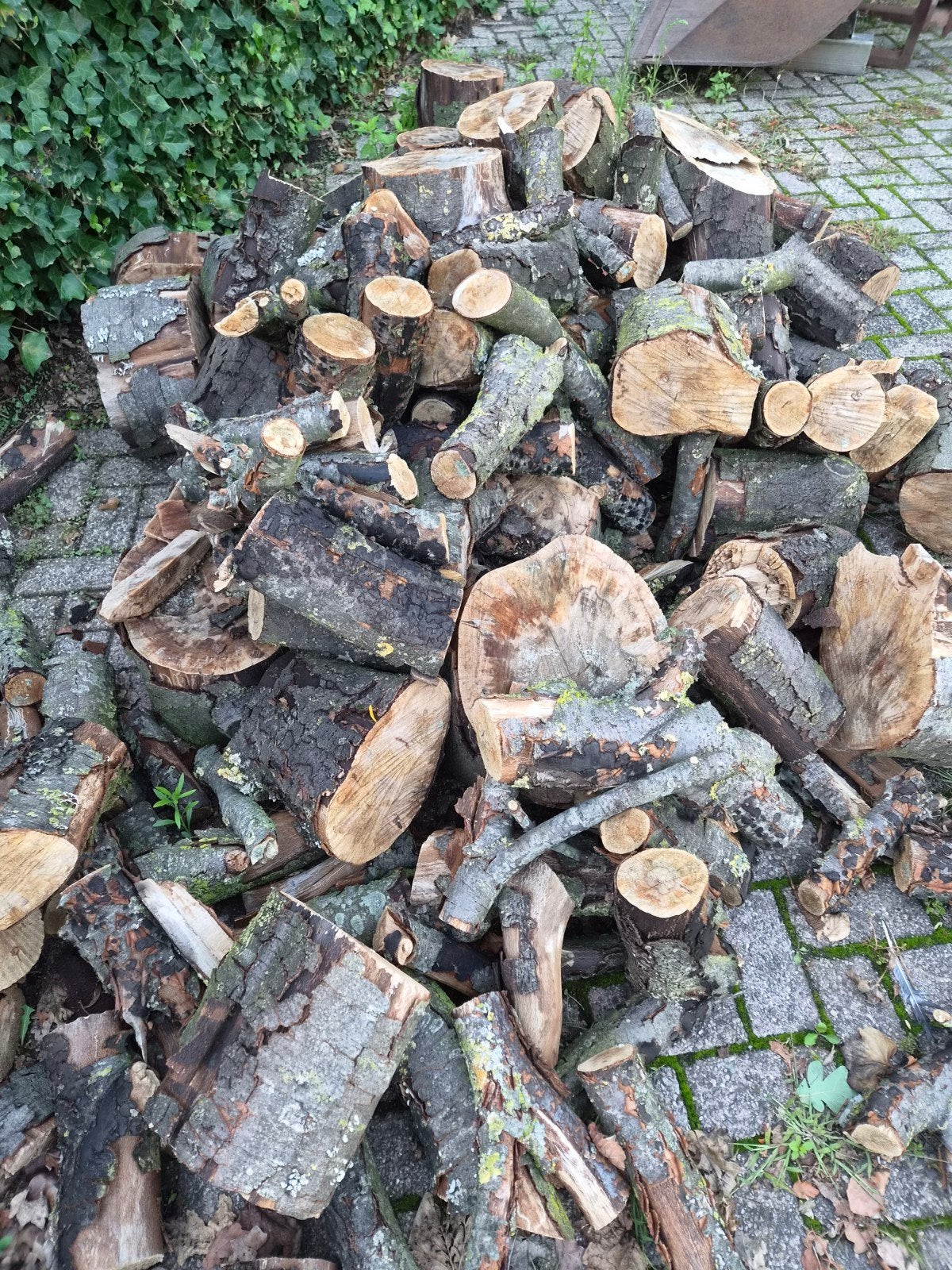 Diverse houtblokken voor brandhout, Tuin en Terras, Haardhout, Minder dan 3 m³, Ophalen, Overige houtsoorten, Blokken