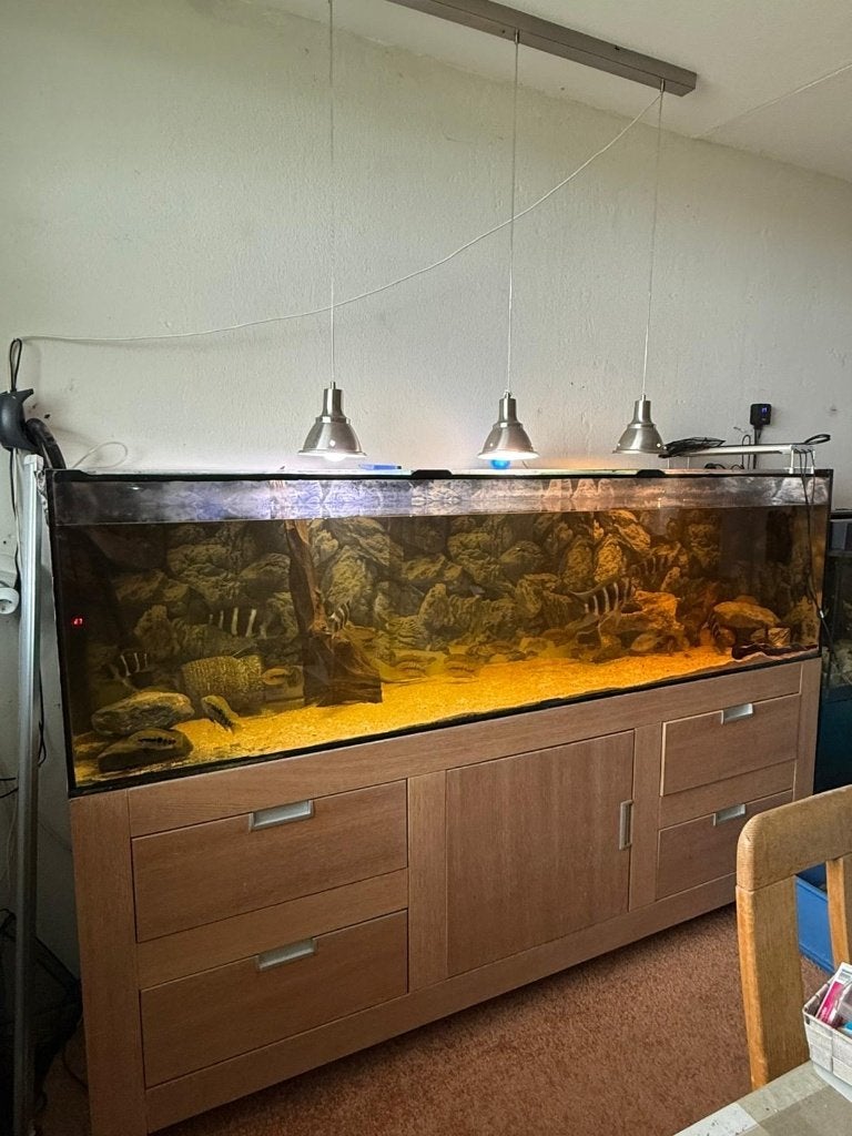 Gratis af te halen: Juwel aquarium 2.20 x 60 x 50 Eindhoven, Dieren en Toebehoren, Ophalen, Gebruikt, Juwel, Inclusief deksel