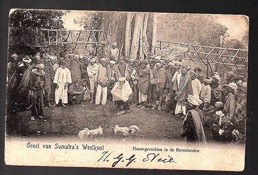 Ned Indië 1905 hanengevecht Sumatra West coast   (21-14), Ophalen of Verzenden, Voor 1920, Buiten Europa