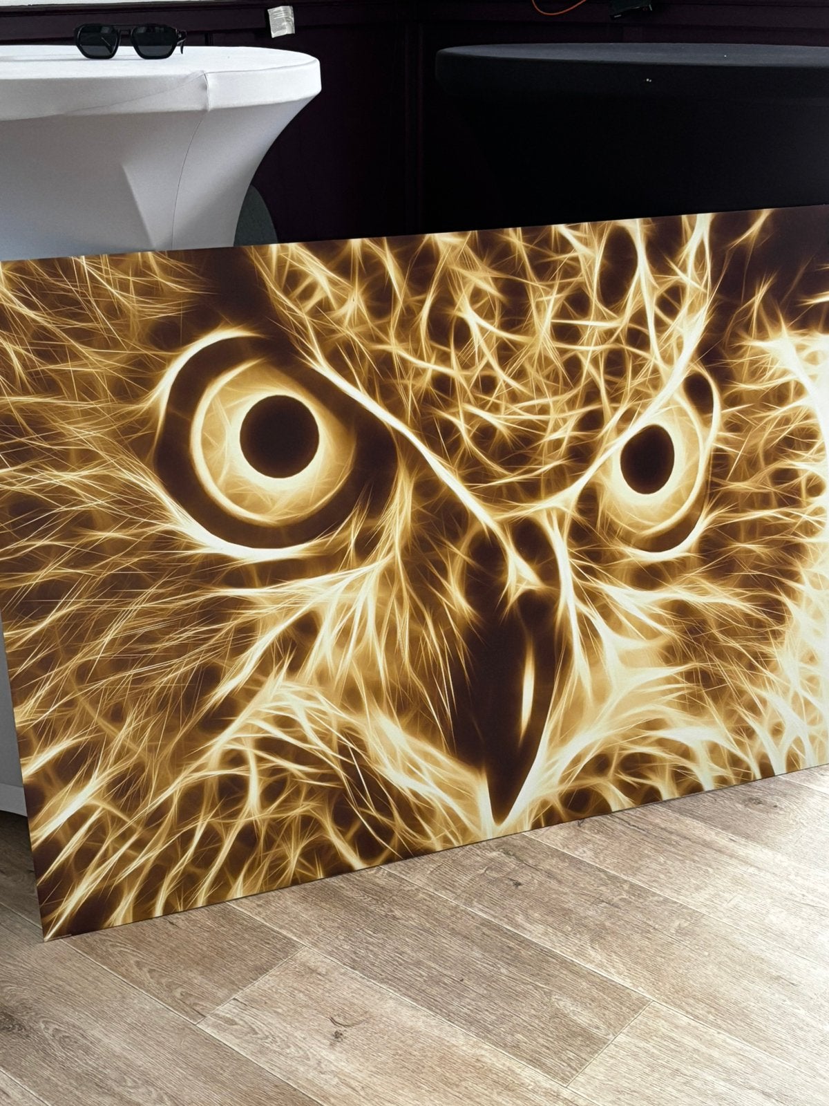 Modern Schilderij Uil Alu-Dibond, Ophalen