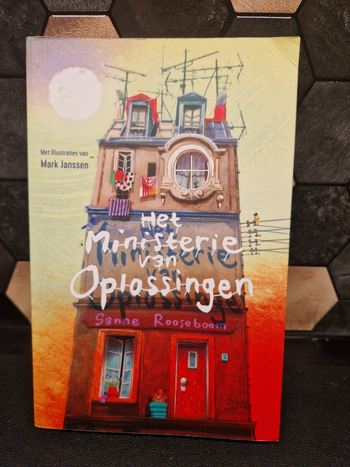 Het Ministerie van Oplossingen - Sanne Rooseboom, Ophalen of Verzenden, Zo goed als nieuw, Sanne Rooseboom, Fictie algemeen